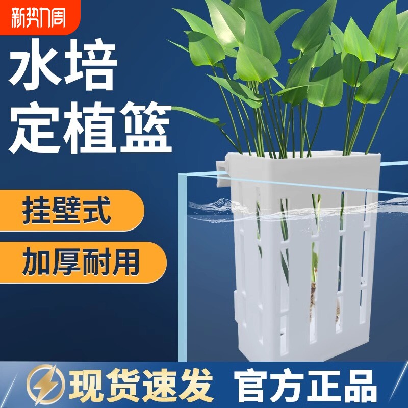 鱼缸水培定植篮壁挂式水草杯植物固定支架造景装饰配件养鱼赏花