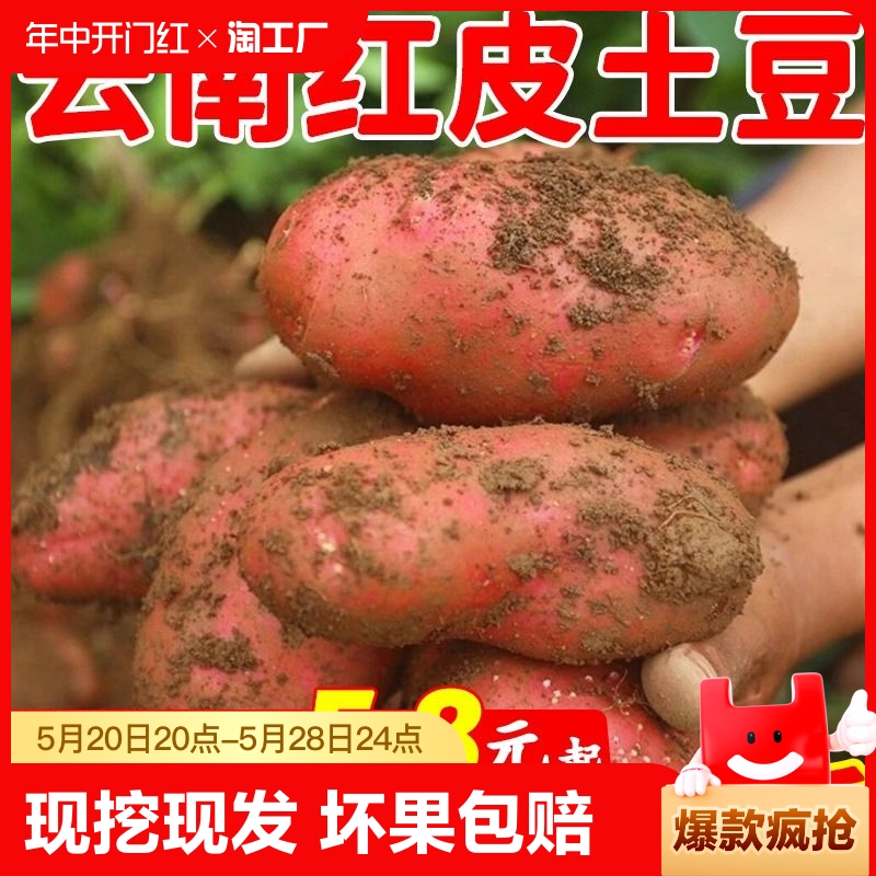 【超低价】云南红皮土豆软糯香甜