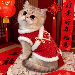 小猫咪衣服冬天新年刺绣背心布偶金渐层防掉毛加绒保暖衣喜庆过年