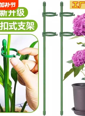 防倒伏吊兰园艺花架花支撑架植物支撑杆西红柿番茄辣椒固定杆爬藤
