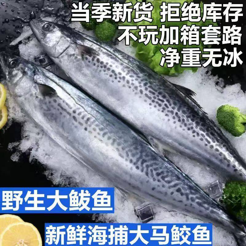 特大马鲛鱼新鲜冷冻特大鲅鱼野生燕尾鱼无冰净重整条马鲛鱼批发,水产肉类/新鲜蔬果/熟食,马鲛鱼,淘宝优惠券,粉丝福利购,淘宝优惠卷