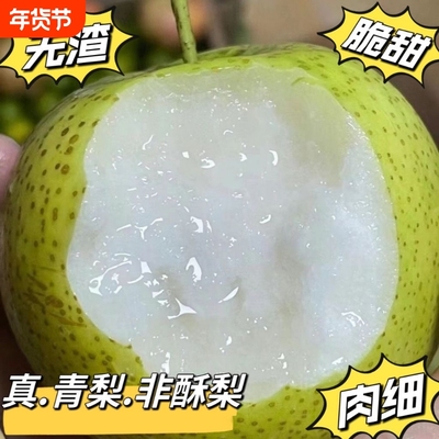 梨子新鲜砀山青梨皇冠梨当季翠冠梨香酥脆蜜早雪梨整箱包邮正宗