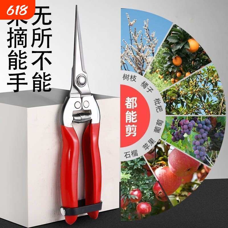 不锈钢摘果剪园艺剪刀修枝剪葡萄火龙果剪采摘花椒神器专用剪