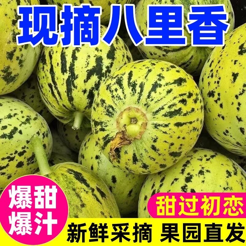 山东头茬花美人甜瓜皮薄新鲜应季多汁八里香时令整箱包邮绿宝脆甜