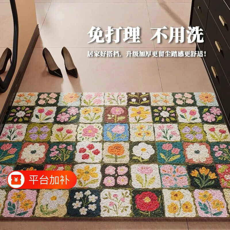 丝圈入户门地垫耐脏免洗入户脚垫进门口地毯现代简约防滑玄关室内