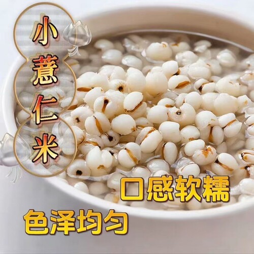 [真空装]新鲜贵州小薏米新货薏米仁薏仁米苡仁五谷杂粮粗粮油5斤