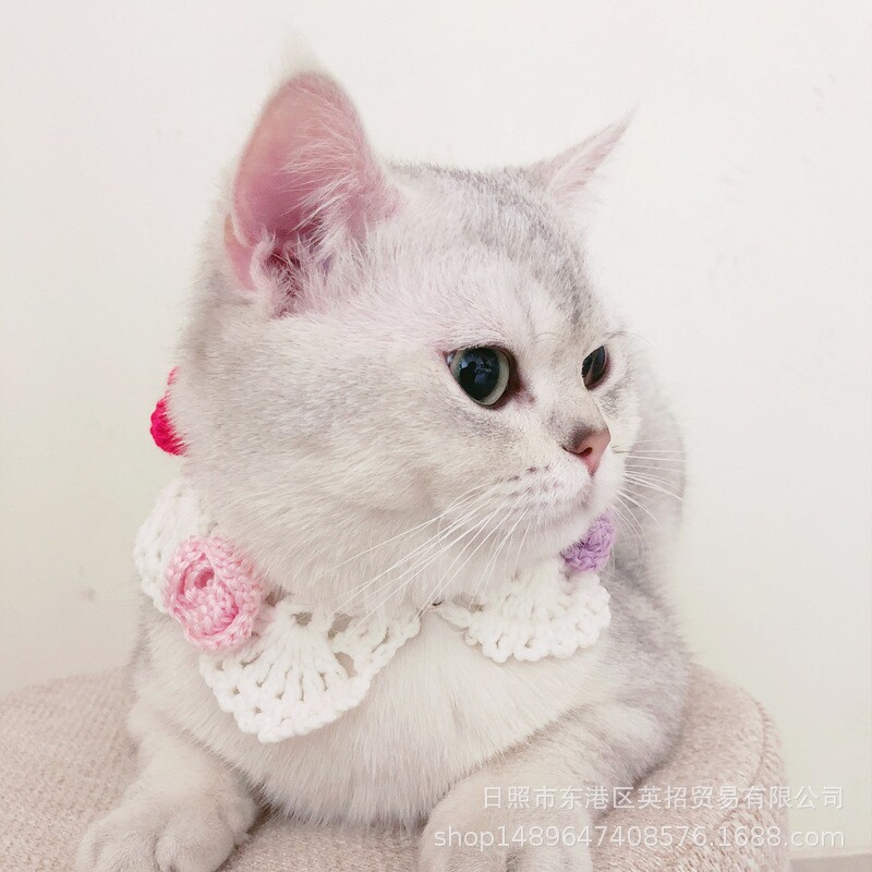 手工编织宠物饰品猫咪领结多彩花朵项圈假领英短美短布偶