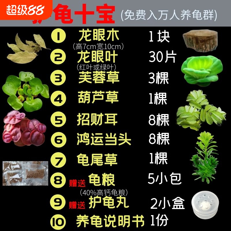 龟缸造景绿植浮萍水草植物全套图片