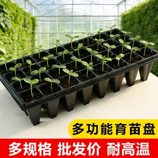 育苗神器育苗穴盘育苗盘蔬菜塑料秧盘育苗盆托盘培育盆种植玉米