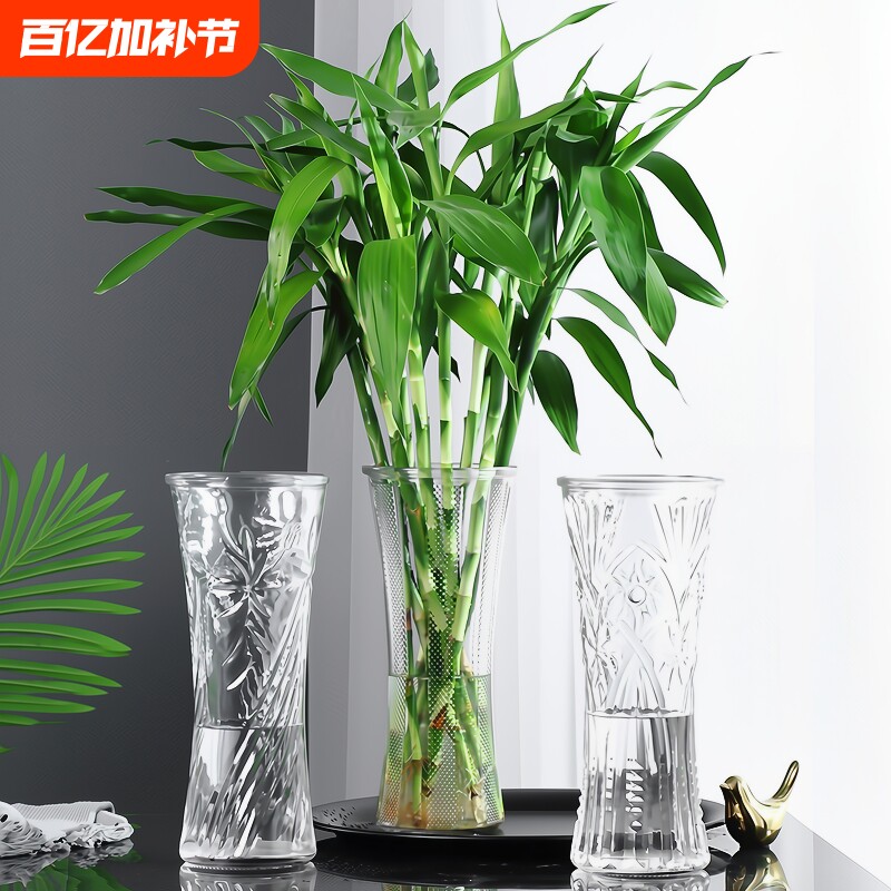 创意简约大号透明玻璃花瓶水养富贵竹家用插花瓶客厅摆件桌面极简