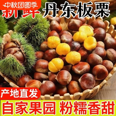 正宗丹东板栗大板栗新鲜当季嫩带壳非油板栗老树现摘新货