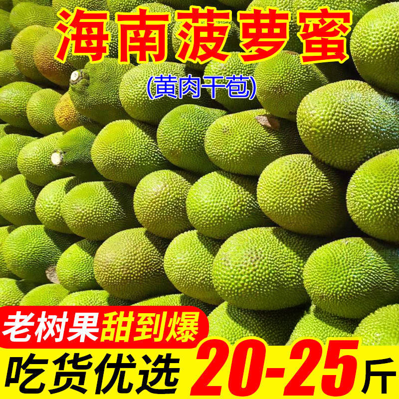 海南三亚黄肉菠萝蜜新鲜水果包邮当季现摘波罗一整个整箱当季包邮,水产肉类/新鲜蔬果/熟食,菠萝蜜,淘宝优惠券,粉丝福利购,淘宝优惠卷