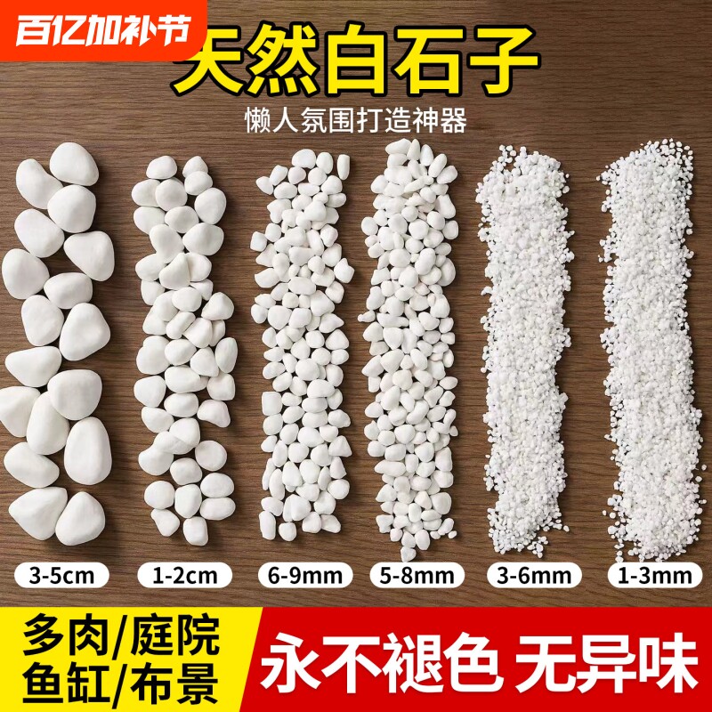 小白石子庭院造景鱼缸鹅卵石原石天然颗粒养花多肉盆栽装饰铺面石