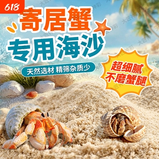 寄居蟹沙蟹专用沙免洗天然海沙辣椒蟹相守蟹菲律宾沙鱼缸造景底砂