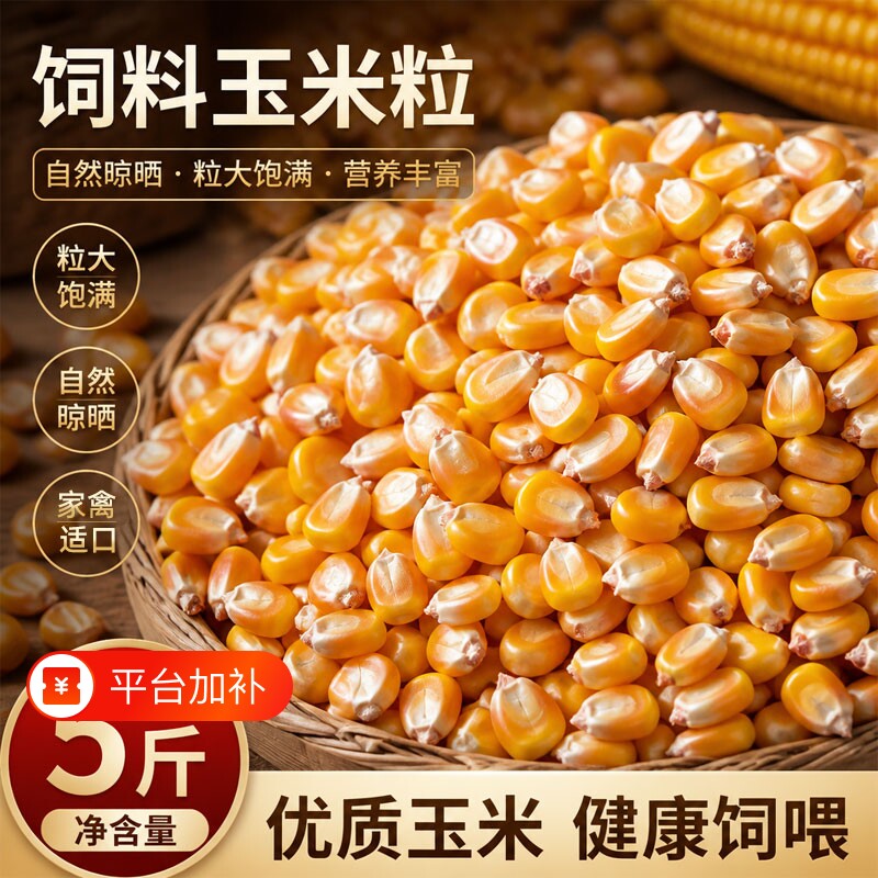 烘干玉米粒喂鸡鸽粮当季新粮非转基因5斤10斤家禽饲料养殖散装