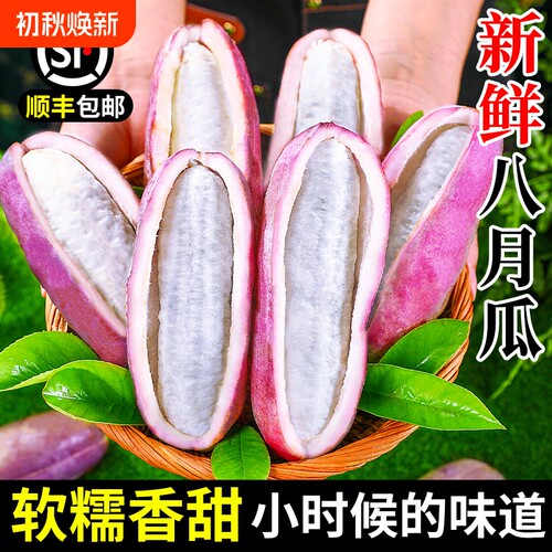 疯抢！现摘新鲜八月瓜顺丰速发
