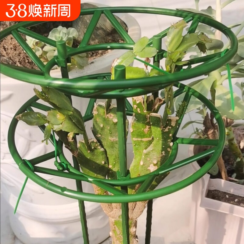 蟹爪兰支架花架昙花支撑架兰花支架通用花卉支架月季铁线莲绿萝