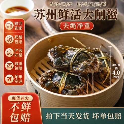 鲜活六月黄大闸蟹|超1000次加购
