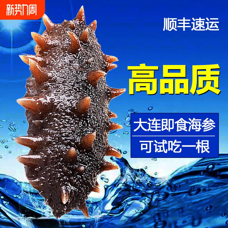 海参即食大连刺参辽参辽宁野生海参500g鲜活冷冻水产底播年货节