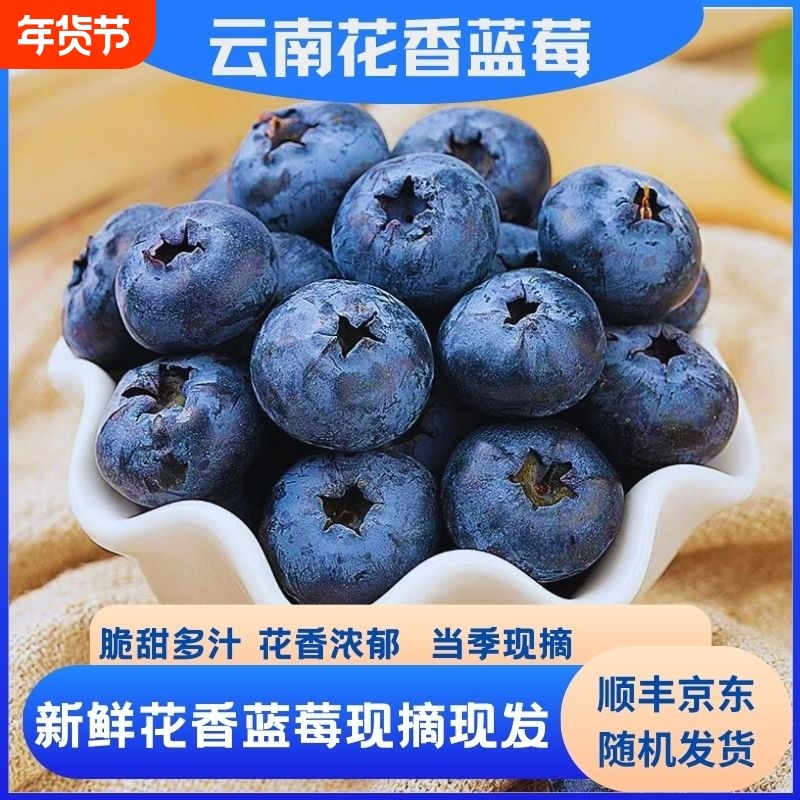 顺丰/京东空运云南真花香蓝莓发货新鲜当季水果脆甜多汁现摘,水产肉类/新鲜蔬果/熟食,蓝莓,淘宝优惠券,粉丝福利购,淘宝优惠卷