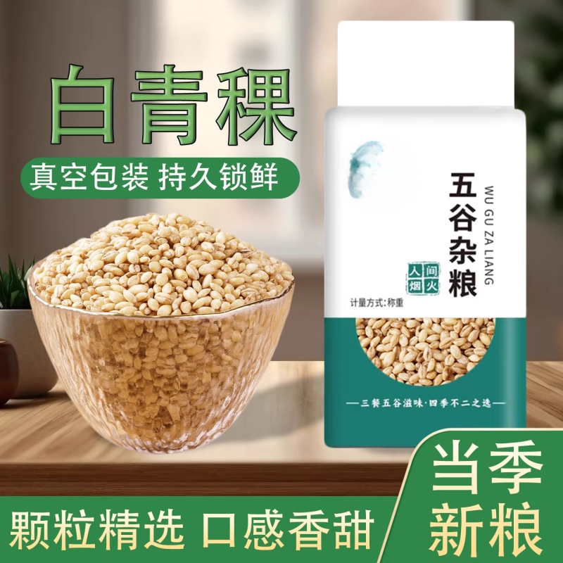 白青稞米青海特产5斤新米去皮优质谷物糙米高原西藏煮饭麦仁真空