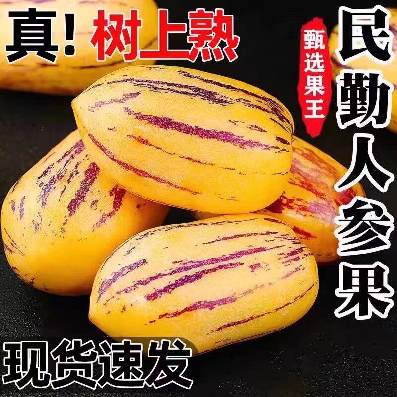 甘肃沙漠人参果大果民勤黄肉人生果新鲜应季8斤老人孕妇新鲜水果,水产肉类/新鲜蔬果/熟食,人参果,淘宝优惠券,粉丝福利购,淘宝优惠卷