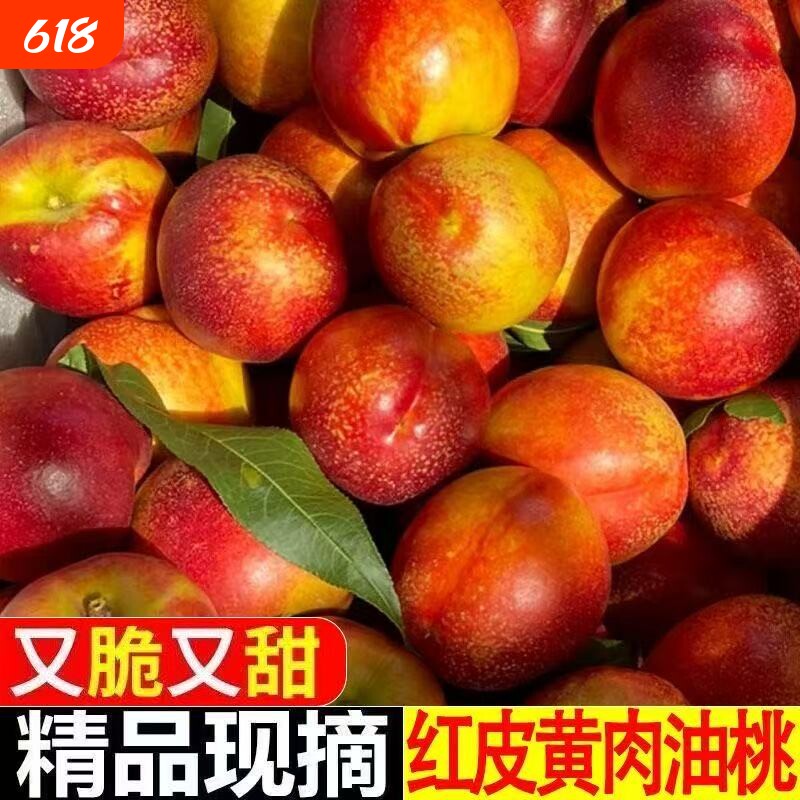 头茬黄心油桃麻脸新鲜脆甜水果当季整箱孕妇黄肉批发桃子新鲜脆桃