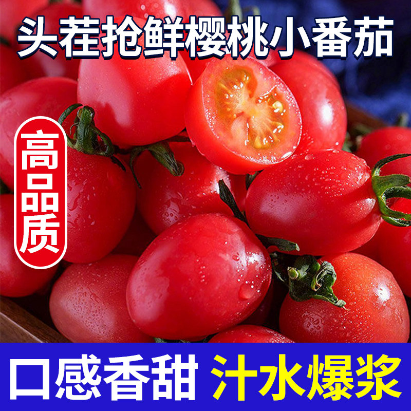电白千禧小番茄圣女果新鲜水果西红柿4斤孕妇水果小樱桃顺丰包邮,水产肉类/新鲜蔬果/熟食,番茄,淘宝优惠券,粉丝福利购,淘宝优惠卷