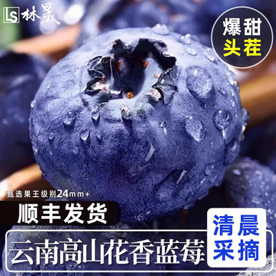 云南高山花香蓝莓头茬鲜果特大果怡佳颗沃应当季水果整箱顺丰