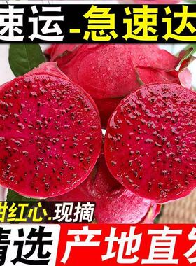 火龙果红心新鲜水果5斤当季整箱广西金都一号红肉蜜燕窝宝麒麟果