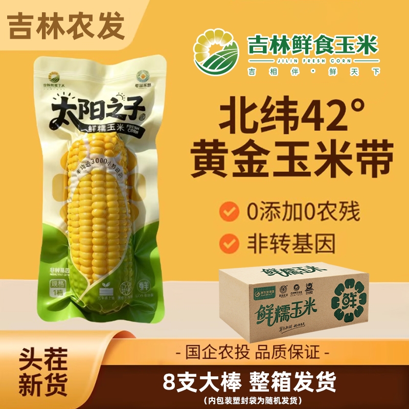 12.88亓农投正宗东北黄糯玉米280*8支