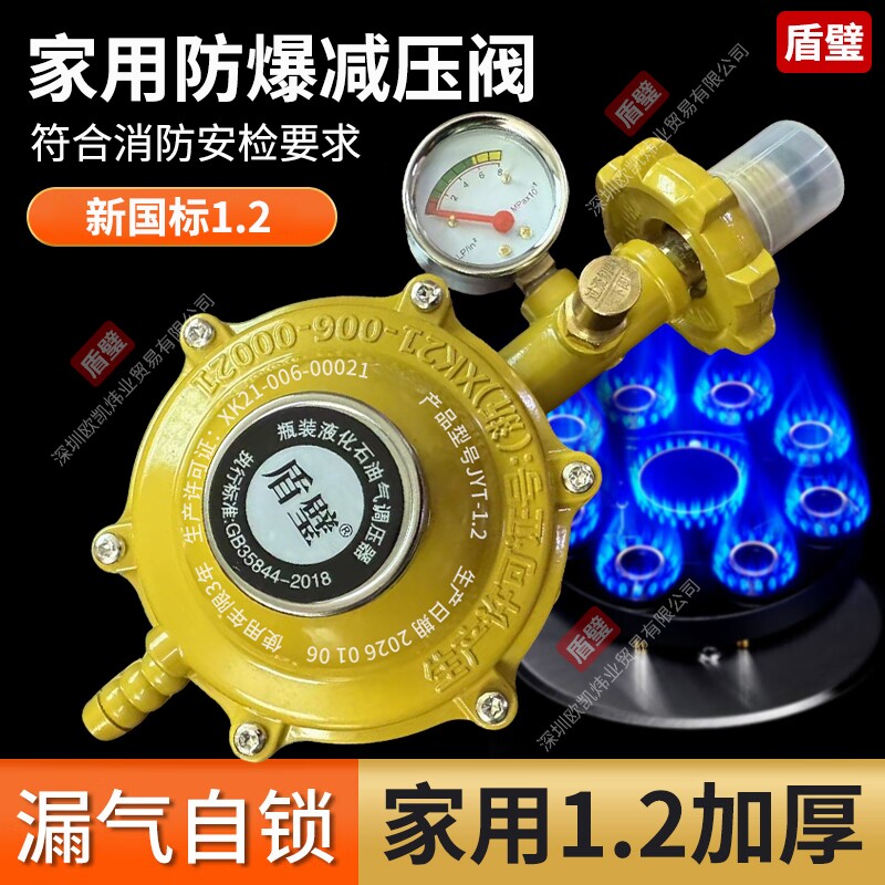 煤气阀家用煤气罐安全阀自动关闭阀门燃气室内自闭阀液化气减压阀