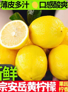 安岳黄柠檬当季新果薄皮多汁切片