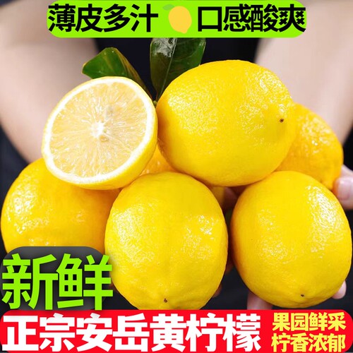 安岳黄柠檬当季新果薄皮多汁切片