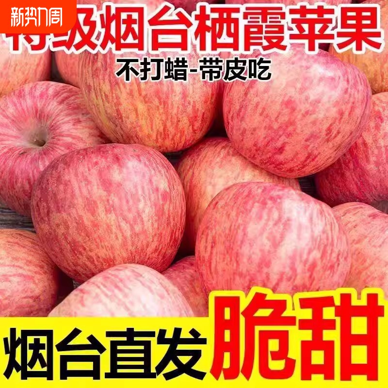 正宗烟台红富士苹果新鲜水果当季现摘山东栖霞脆甜冰糖心苹果整箱