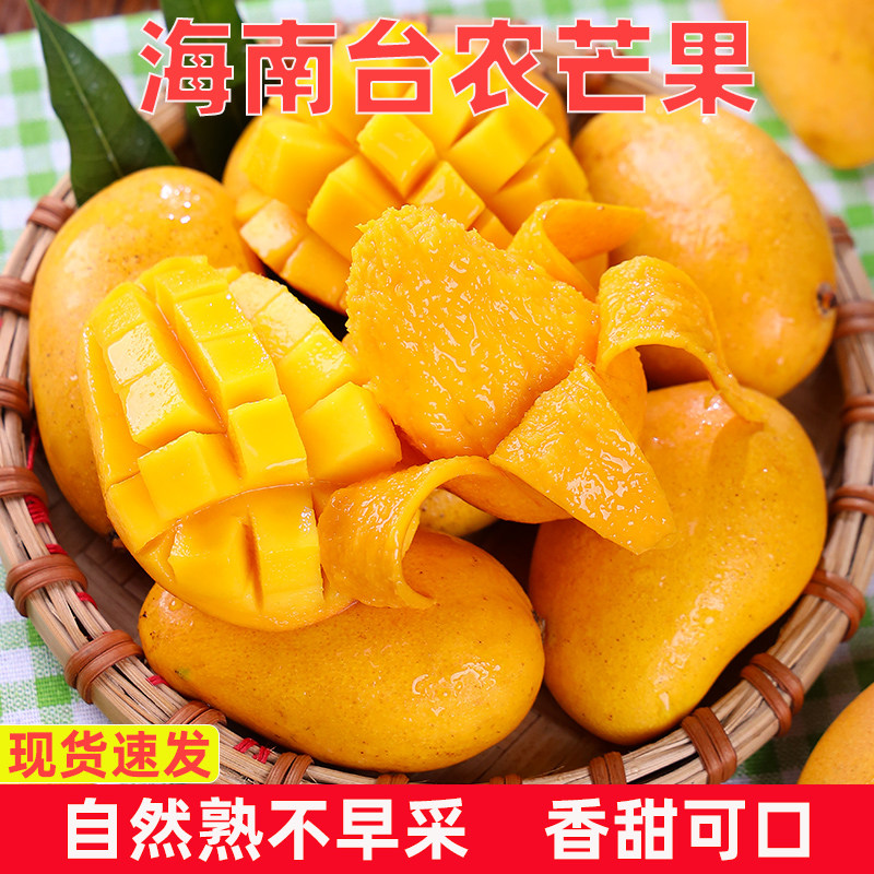 正宗海南小台农芒果当季10新鲜水果超甜现摘小台芒一整箱8斤大果