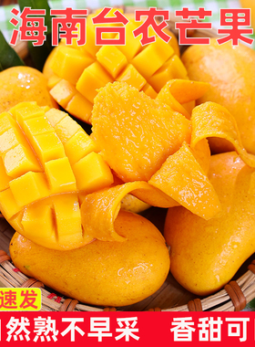 正宗海南小台农芒果当季10新鲜水果超甜现摘小台芒一整箱8斤大果
