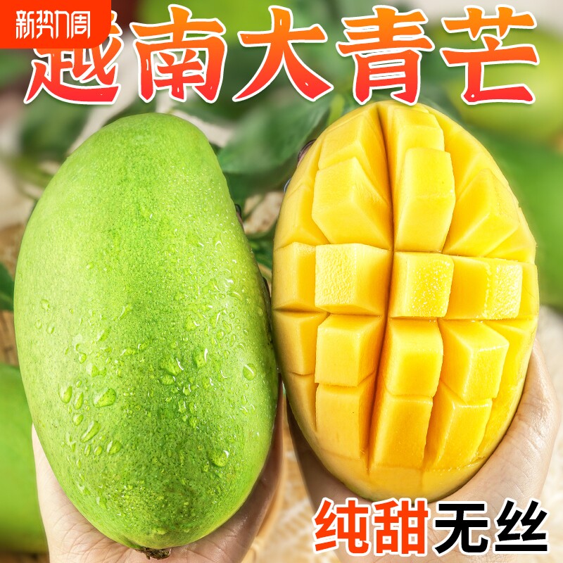 正宗新鲜大青芒现摘当季新鲜水果整箱青皮芒果金煌芒一级大果