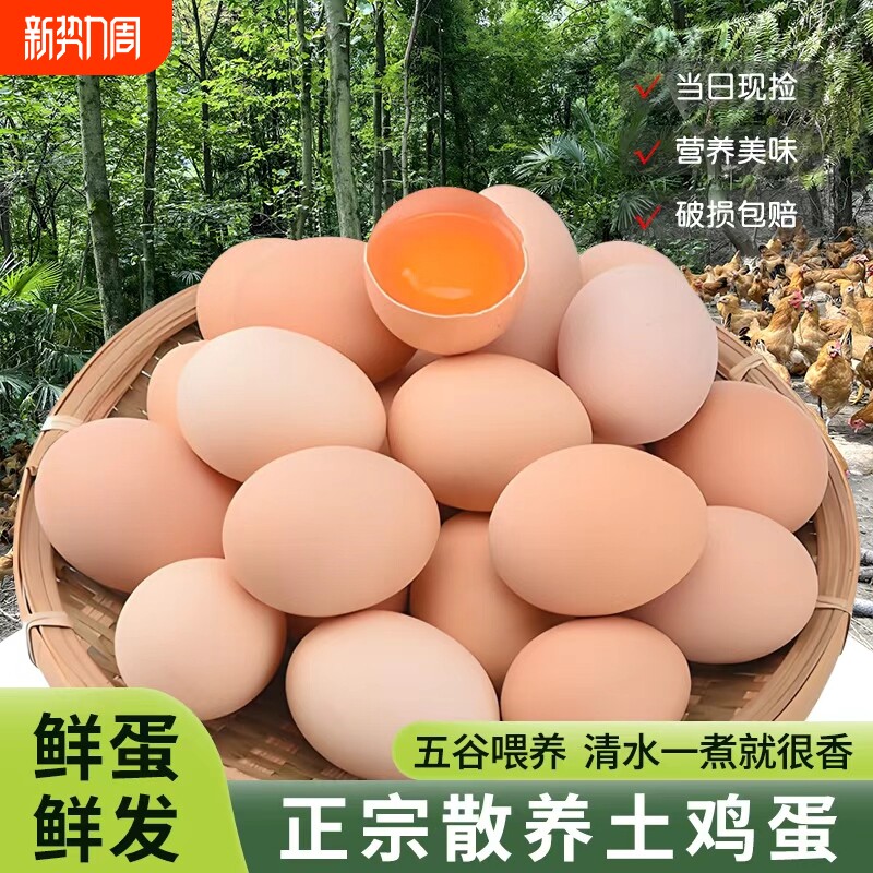 正宗农家散养新鲜土鸡蛋轻食虫草蛋谷物蛋柴鸡蛋单枚约45-55g