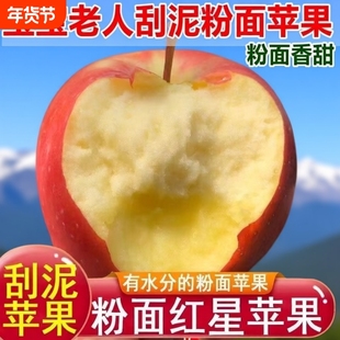 沙坡头红星红香蕉粉面沙甜苹果宝宝刮泥婴儿老人吃当季水果年货节