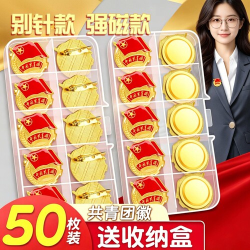 2cm初中生标准款团徽正品