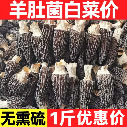 云南羊肚菌农家菌菇羊肚菇蘑干货高山炖汤食材新鲜源头煲汤深山