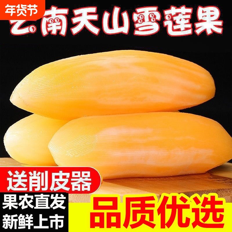 【优质】现货云南天山雪莲果新鲜水果当季高山红泥黄心雪连果现挖,水产肉类/新鲜蔬果/熟食,雪莲果,淘宝优惠券,粉丝福利购,淘宝优惠卷