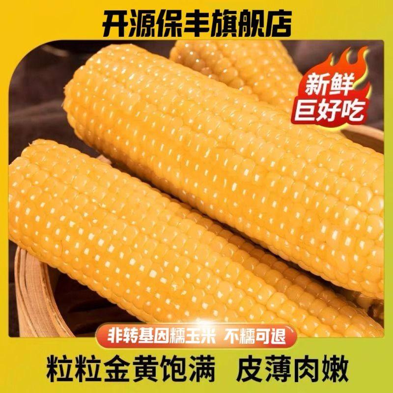 开源保丰黄糯玉米10根非转基因东北玉米棒真空包装粗粮代餐低脂