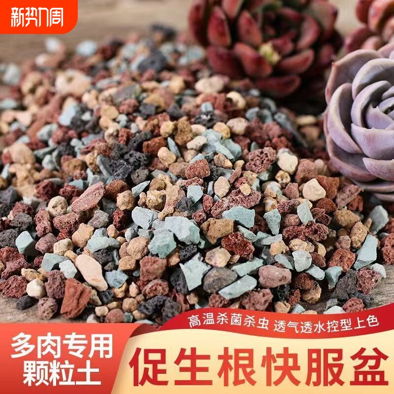 多肉专用颗粒土纯颗粒土多肉土营养土彩虹石养花小石子通用型肉肉