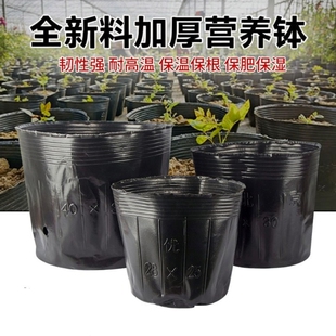 营养杯育苗袋育苗杯营养钵育苗盆塑料加厚一次性营养袋大花盆种植