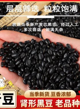 老品种肾形小黑豆农家新货黄心芯雄黑豆醋泡打豆浆扁新豆自种古老