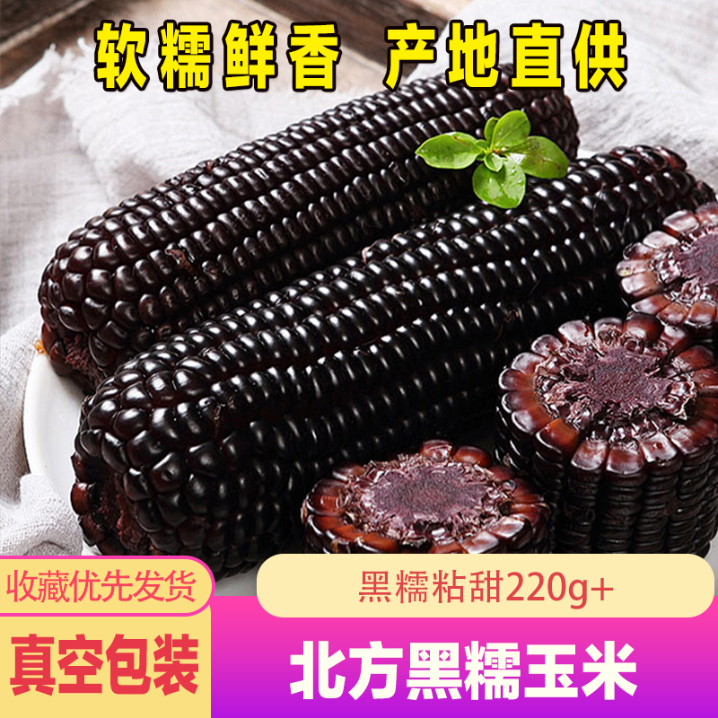 黑糯玉米苞米棒山西北方头茬大棒粗粮代餐早餐黑玉米彩色包装发货