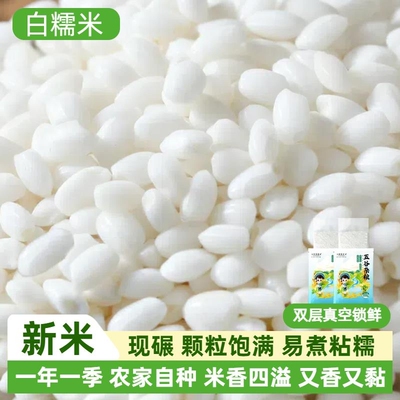 农家圆糯米新米五谷杂粮江米圆粒大米包粽子香甜酒专用纯白糯米