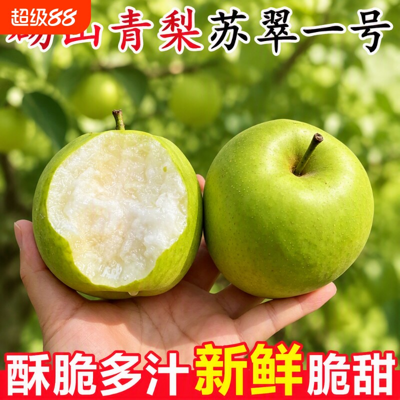 苏脆一号大果青梨|超1000次加购图片